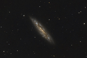 Surfboard Galaxy