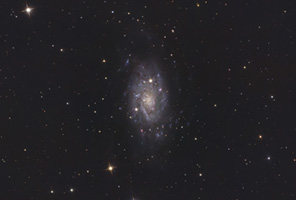 NGC 2403