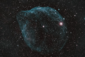 Dolphin Head Nebula