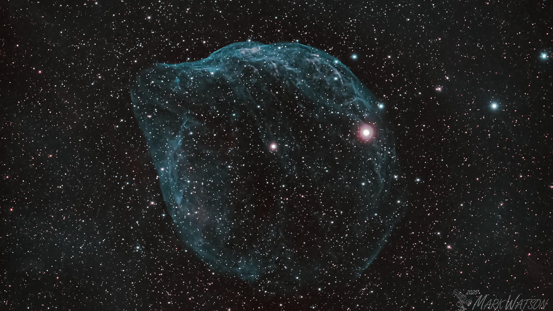 Dolphin Head Nebula - 2025